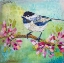 Picture of CHIRPY CHICKADEE