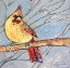 Picture of WINTER CARDINAL FEMALE