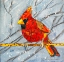 Picture of WINTER CARDINAL MALE