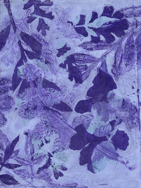 Picture of VERY PERI BOTANICAL PRINT II