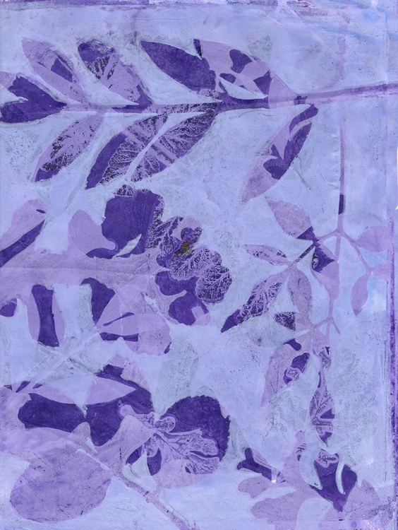 Picture of VERY PERI BOTANICAL PRINT III