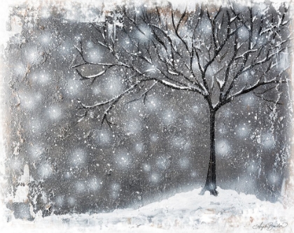 Picture of SNOW KISSED TREE
