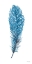 Picture of BLUE FEATHER II