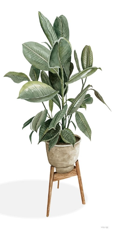 Picture of POTTED PLANT