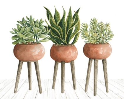 Picture of CLAY POT TRIO OF PLANTS