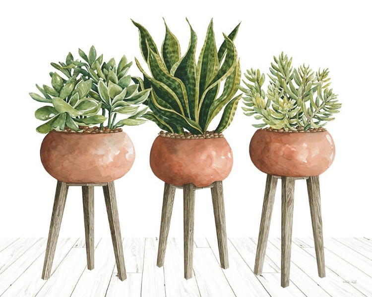 Picture of CLAY POT TRIO OF PLANTS