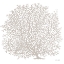 Picture of GRAY CORAL I    