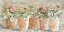 Picture of ALL IN A ROW I 