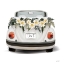 Picture of FLOWER GARDEN CONVERTIBLE