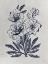 Picture of VINTAGE BLUES I   