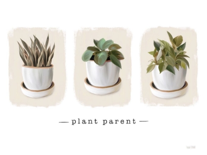Picture of PLANT PARENT