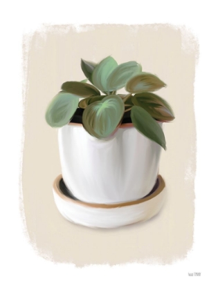 Picture of HOUSE PLANT II