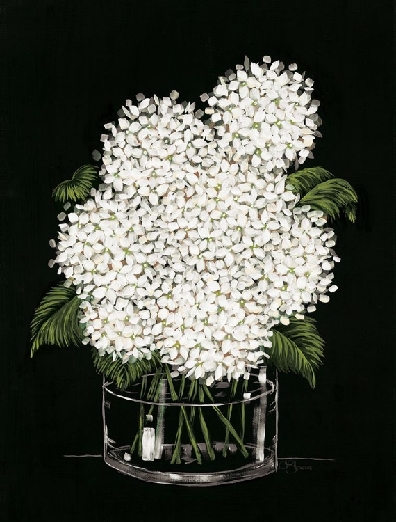 Picture of HYDRANGEA IN VASE   