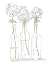 Picture of MAMAS GARDEN FLOWERS