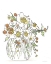 Picture of SWEET SMELLS