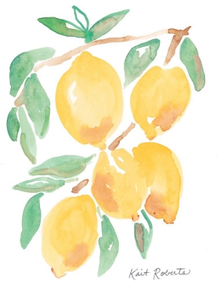 Picture of KITCHEN LEMONS