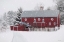Picture of WINTER RED BARN
