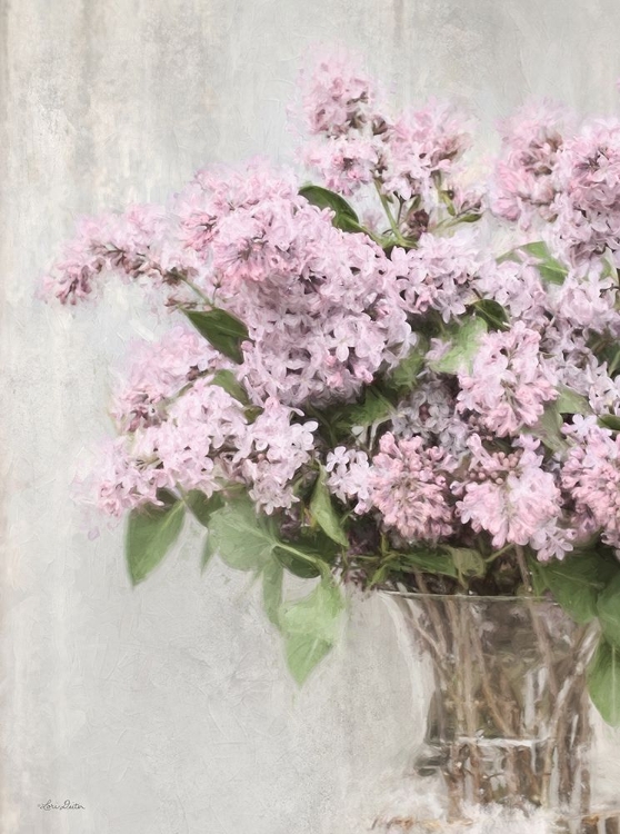 Picture of MAGICAL LILACS