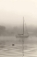 Picture of FOGGY BAY