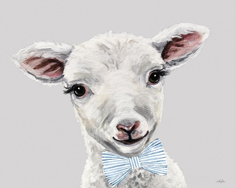 Picture of BABY BOY SHEEP