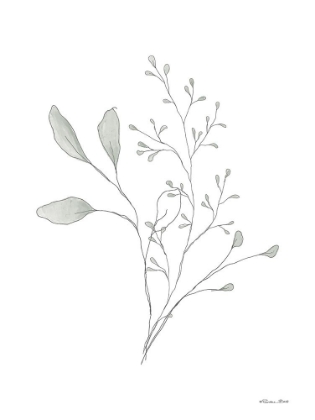 Picture of SIMPLE LEAVES 3