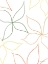 Picture of COLORFUL PETALS