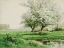 Picture of THE DREAMY FIELD