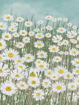 Picture of DAISIES IN THE SKY