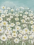 Picture of DAISIES IN THE SKY