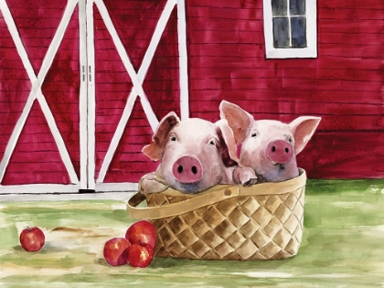 Picture of PIGS IN A BASKET
