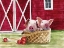 Picture of PIGS IN A BASKET