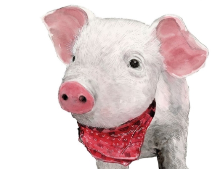 Picture of HAMLET THE PIG