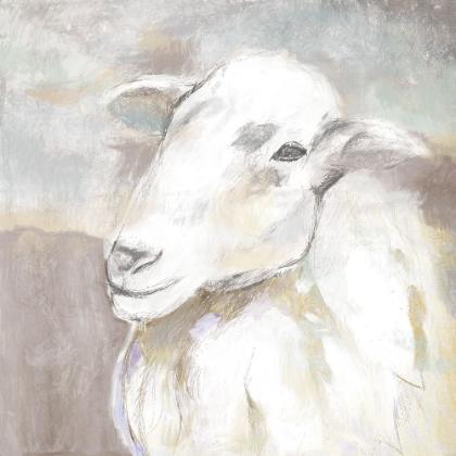 Picture of SHEEP PORTRAIT