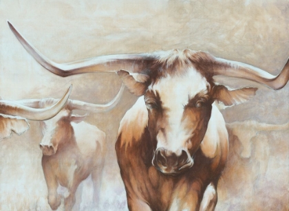 Picture of LONGHORN HERD