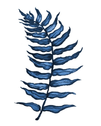 Picture of BLUE FERN I