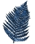 Picture of BLUE FERN II