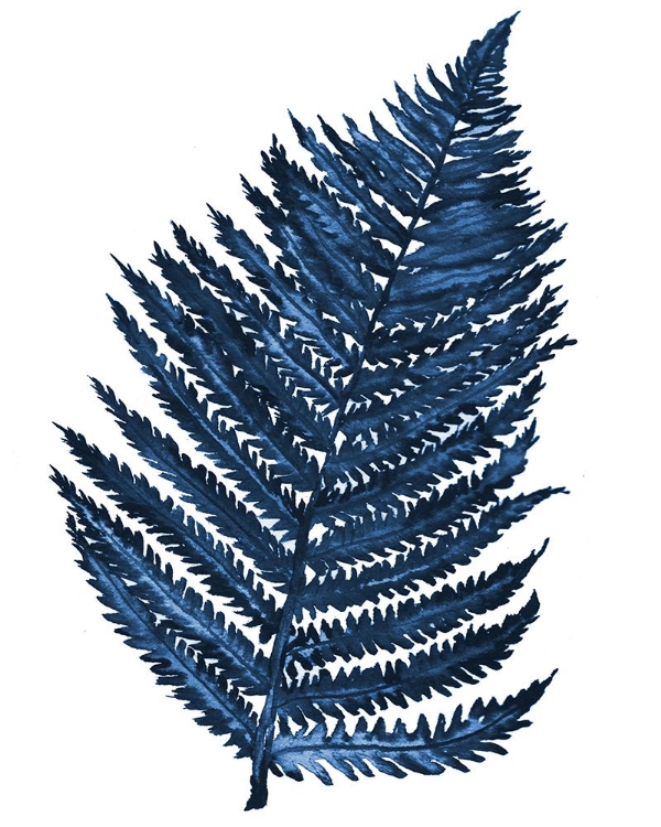 Picture of BLUE FERN II