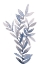 Picture of INDIGO SEAGRASS I