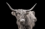 Picture of ITS A MOOOOD I
