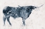 Picture of LONG HORN ALT V2
