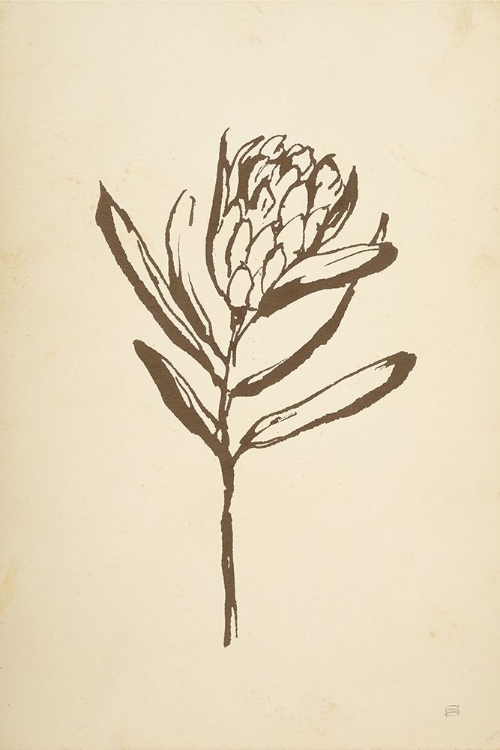 Picture of VINTAGE LINE PROTEA I