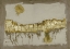 Picture of GILDED NEUTRAL RAVINE VII