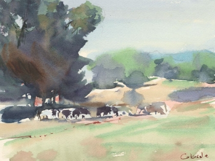 Picture of COWS GRAZING-SOMERSET
