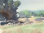 Picture of COWS GRAZING-SOMERSET
