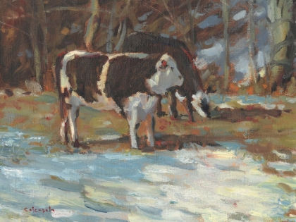 Picture of COWS GRAZING-SOMERSET III