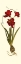 Picture of CUSTOM AMARYLLIS PANEL II