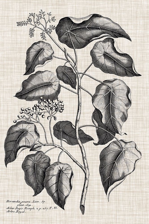 Picture of CUSTOM BLACK AND OATMEAL LINEN BOTANICAL VIII