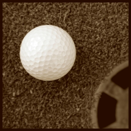 Picture of SEPIA GOLF BALL STUDY I