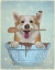 Picture of CORGI CAKE BOWL
