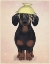 Picture of DACHSHUND COLANDER